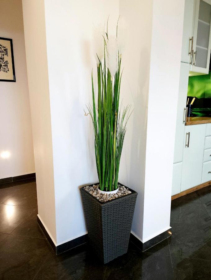Luxury Apartment Aurora - Cod 0409 Abbázia Kültér fotó